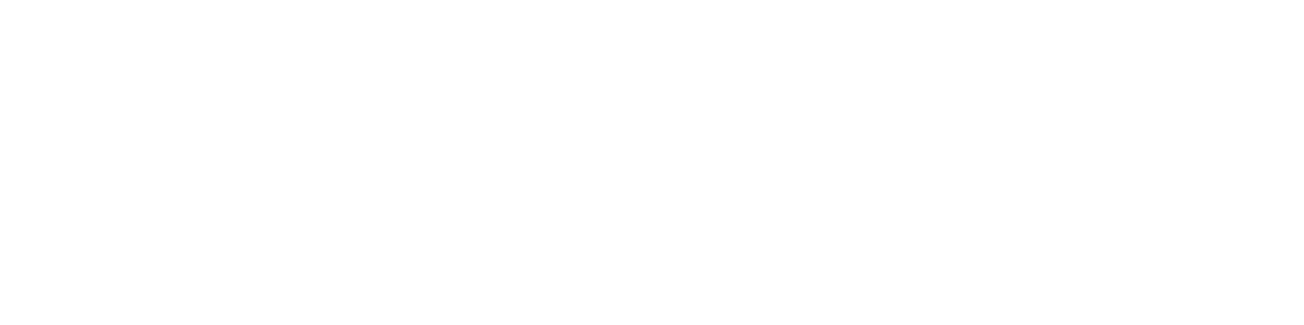 Aureon Consulting